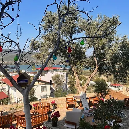 Nek House Zeytin