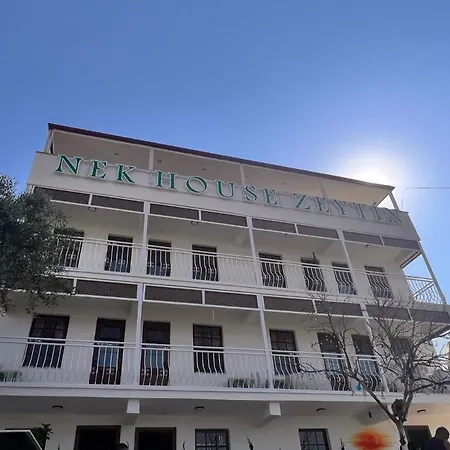 Nek House Zeytin ホテル