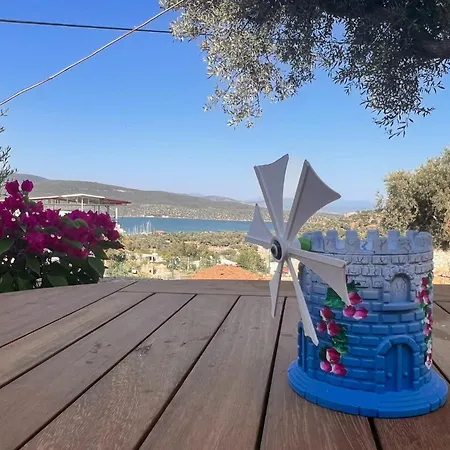Nek House Zeytin ホテル