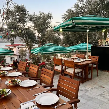 Nek House Zeytin