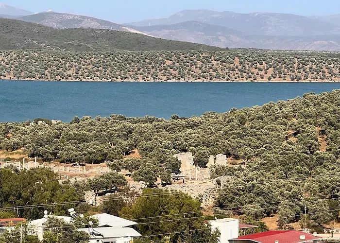 Ξενοδοχείο Nek House Zeytin
