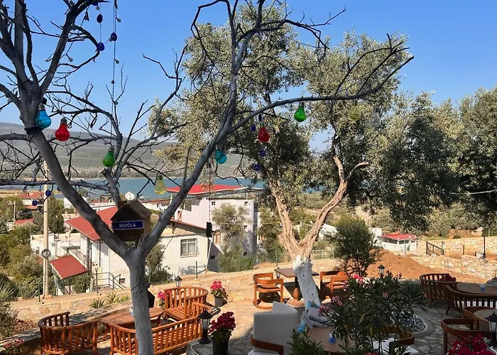 Nek House Zeytin