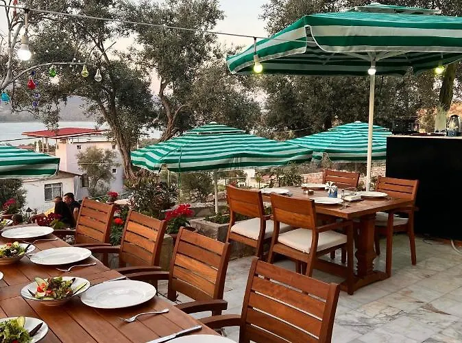 Nek House Zeytin