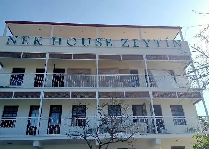 Nek House Zeytin