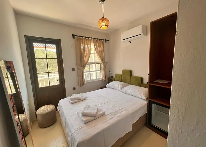 Nek House Zeytin Hotel