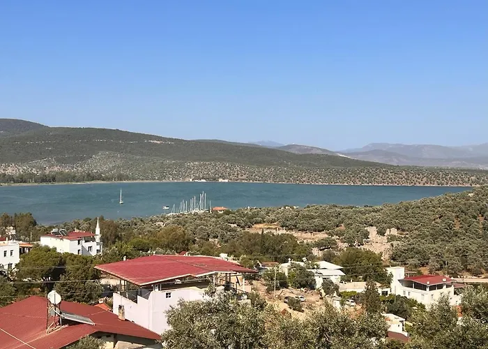 Nek House Zeytin Milas