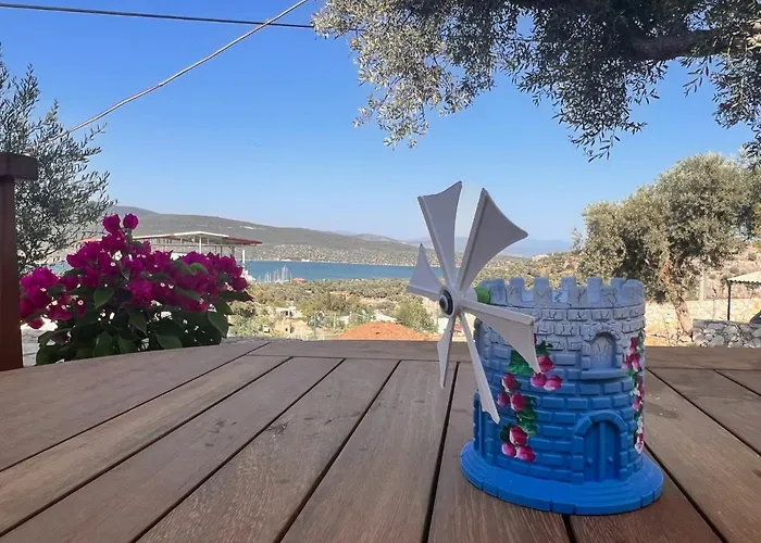 Nek House Zeytin Hotel